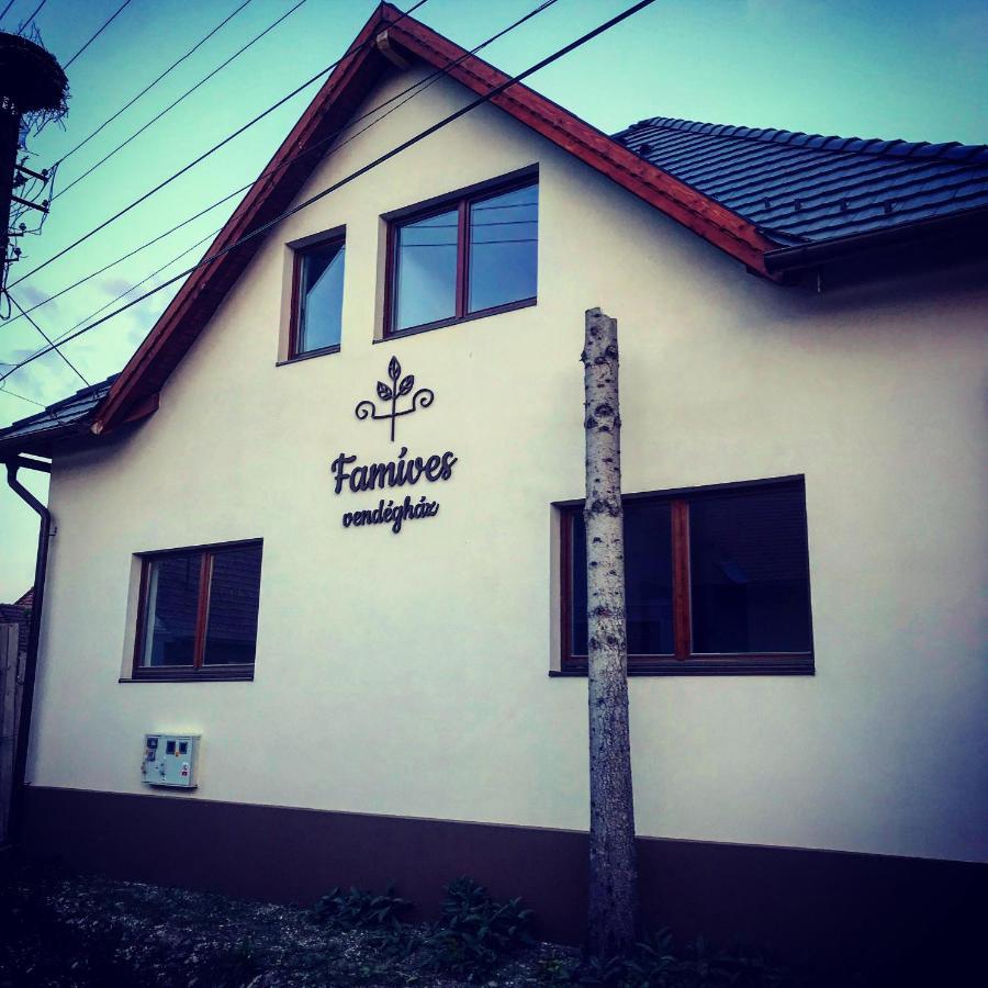 Famíves vendégház Racul Exterior foto